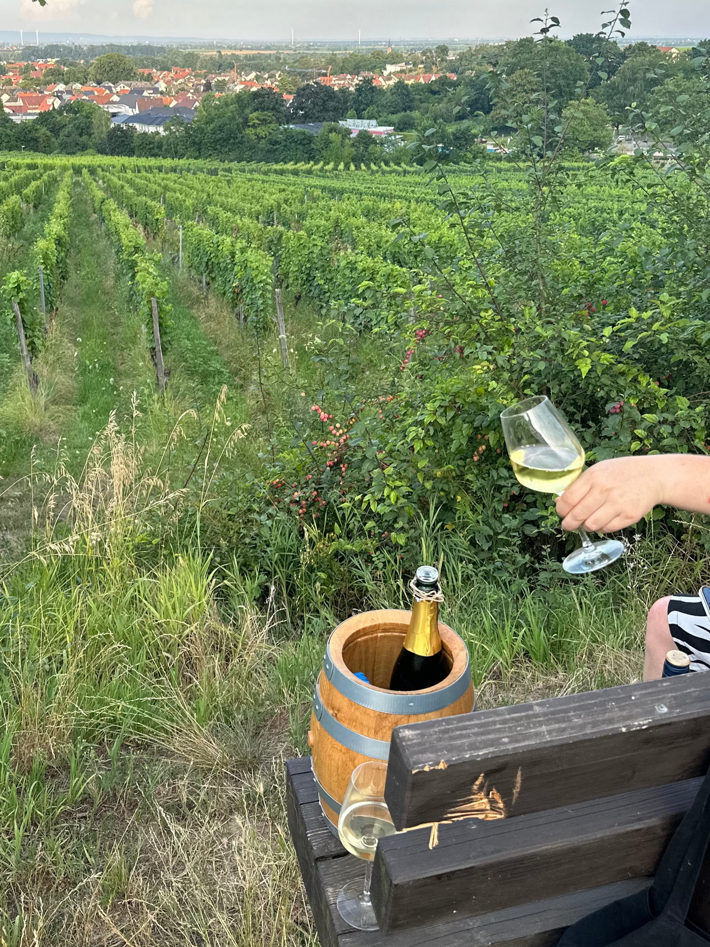 Sektkühler Champagnerkühler Weinkühler